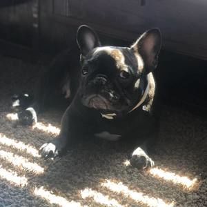 Meet your Posher, Brianne